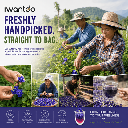 Iwantdo® Organic Dried Butterfly Pea Flower Tea | 100+ Cups | Color-Changing Blue to Purple | Loose Leaf | USDA Organic | Thailand | Cocktails, Lattes & Natural Food Dye | 1.05oz
