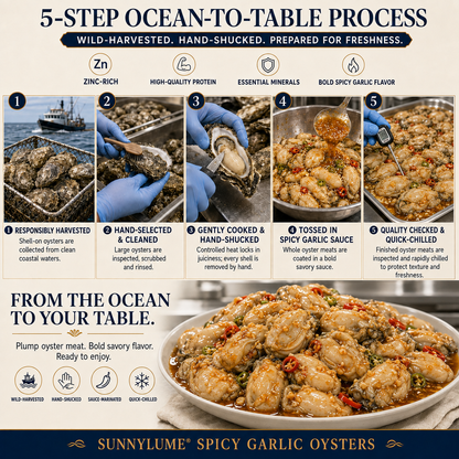 Iwantdo® Giant Oysters – High-Protein Premium Seafood-ZZZ