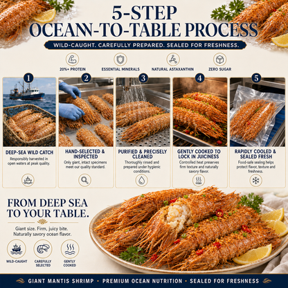 Giant Mantis Shrimp – High-Protein Premium Seafood-ZZZ
