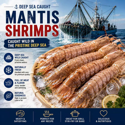 Giant Mantis Shrimp – High-Protein Premium Seafood-Dongg