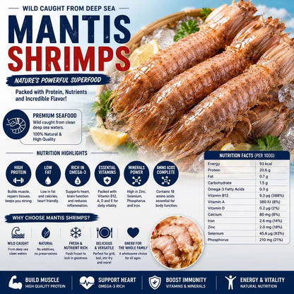 Giant Mantis Shrimp – High-Protein Premium Seafood-Dongg